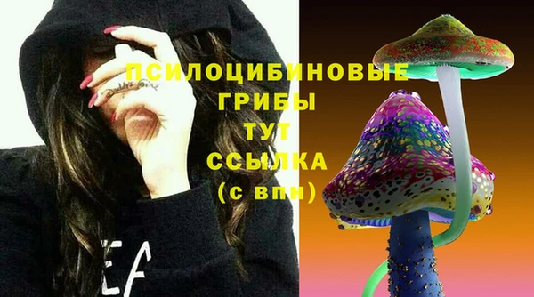 СК Алзамай