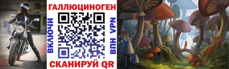 Псилоцибиновые грибы мухоморы  Чайковский 